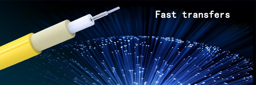 LC-LC Single-Mode Fiber/Fiber Optic Patch Cord (Regular)