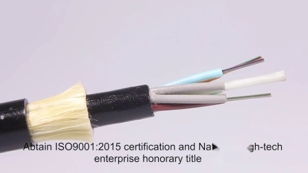 Interior/Exterior 1 2 4 Núcleo G657A1/A2 GJYXFCH FRP/Cable de acero Monomodo FTTH Drop Flat Óptico/Cable de fibra óptica